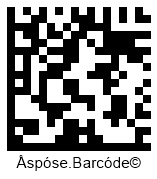 Data Matrix Barcode