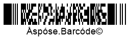 PDF417 Barcode