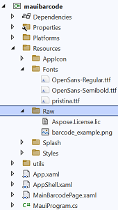 Project structure of of .Net MAUI App