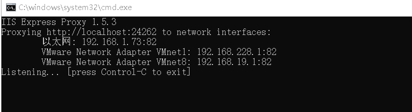 todo:iisexpress コマンド