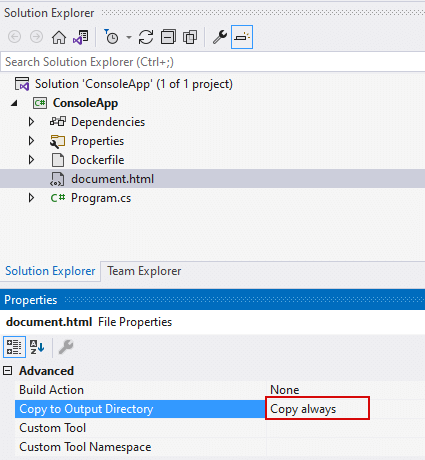 Text “Set the “Сopy to Output Directory” property for the converted file”