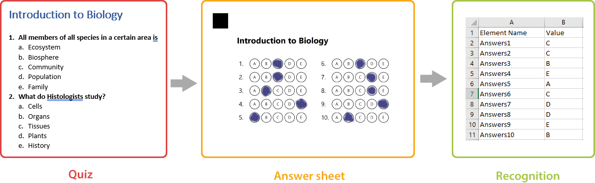 Filled answer sheet