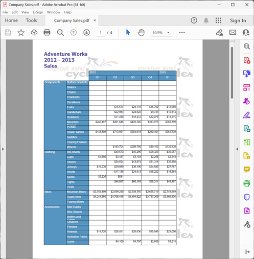 Company Sales  report in PDF