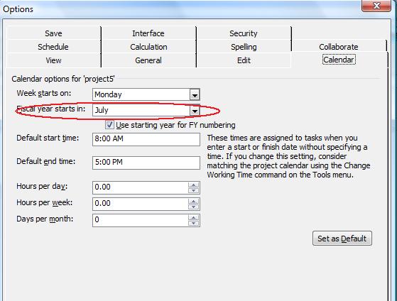 fiscal year properties in Microsoft Project