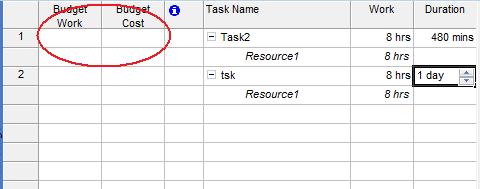 show budget columns in Microsoft Project 2019