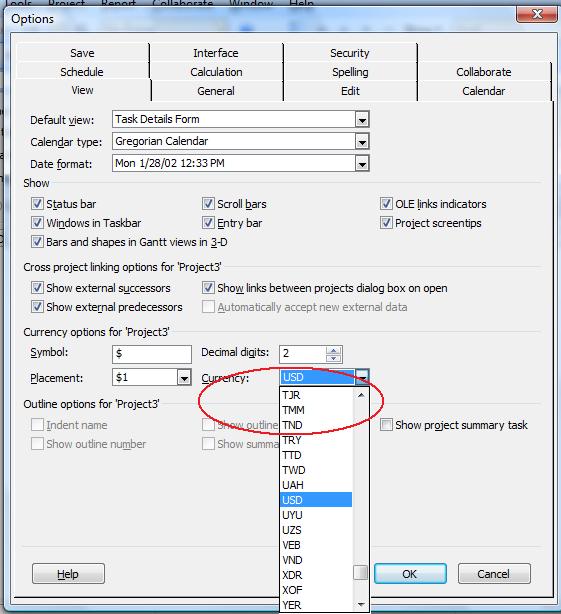 show currency codes in Microsoft Project