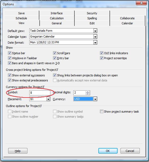 checking currency symbols in Microsoft Project 2013