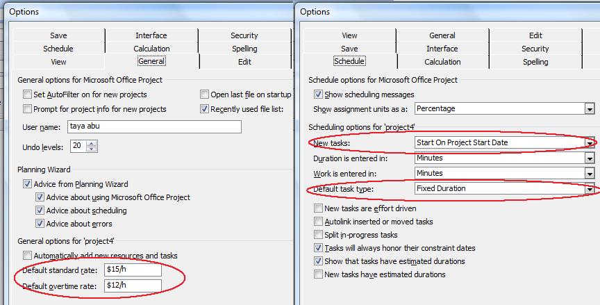 viewing project properties in Microsoft Project