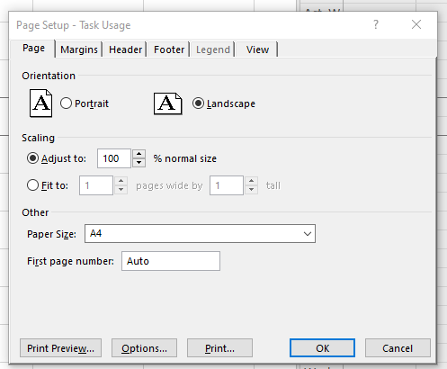 MS Project Page Setup dialog