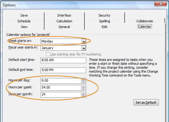 calendar properties in Microsoft Project