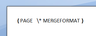 field-code-result-aspose-words